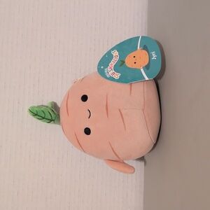 Jyri The Ginger Root Squishmellow